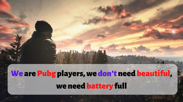 Pubg Status in English